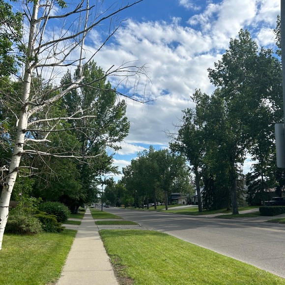 Meet your Posher, Albertina - Picture 9 of 9